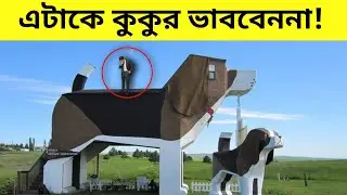 এটাকে কুকুর ভাববেননা || 5 Most Unique Hotels in The World || Knowledge Obhijan