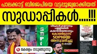 ബിജെപിയുടെ നടുവൊടിച്ചത് എസ്.ഡി.പി.ഐ.. വമ്പൻ ട്വിസ്റ്റിതാ |The Journalist|SDPI Palakkad