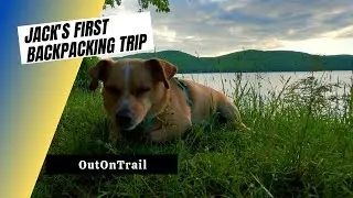 Backpacking with Dogs: North Country National Scenic Trail Section Hike - [4K Hiking Video]