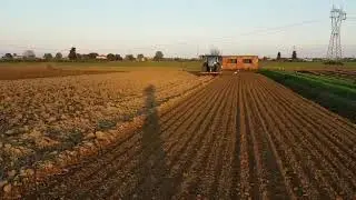 New holland T7.225 Autocommand + Amazone AD3000 Super + Dischiera Rossetto