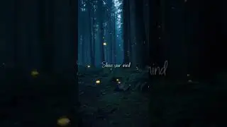 Relax & Focus 🌙 Midnight Sound Therapy  #chillmusic #nightvibes #midnighteq