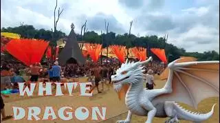 OZORA - WHITE DRAGON