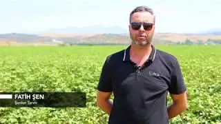 Pamuk ve Domateste Yeşilkurt Zararlısına Karşı Uzun S&uuml;reli Koruma: Coragen&reg; 20 SC ve Altacor&reg; 35