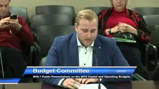 2016 Budget Consultation - Toronto Youth Partnerships & Employment (TYPE)