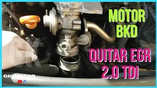 Como quitar egr 2.0 tdi BKD
