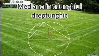 Proprietati ale triunghiului dreptunghic, clasa a VI-a