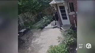 Pets being attacked in recent rash of home invasions in Detroit's Boston Edison District