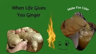 Making Fire Cider - Start To Finish Demonstration