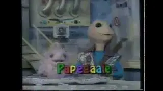 Mannemarak - Papegaaie