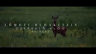 Cserkelő Vlog 46. rész - Lőmozi Budakeszin