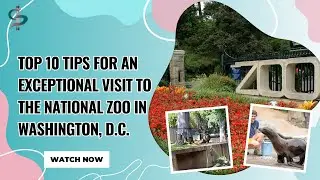 Top 10 Tips for an Exceptional Visit to the National Zoo in Washington, D.C.