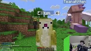 MINECRAFT WITH FRIENDS