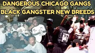 Dangerous Chicago Gangs – The Deadly Reign of the Black Gangster New Breeds