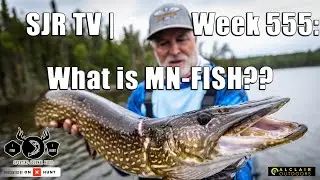 SJR TV | Week 555: What is MN-FISH??