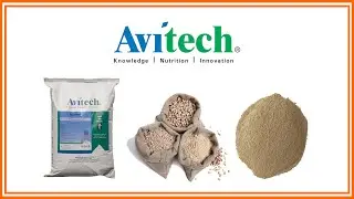 Avitech | Animal Nutrition Products | Kolkata International Poultry Fair 2023 | Hybiz tv