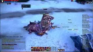 Tera: Warrior Gameplay level 42
