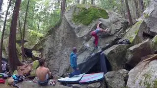 Mosquito Incubator (V8) - Squamish
