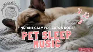 Cat Sleep Music and Dog Sleep Music 🐶🐱 | Instantly Calm, Relax & Comfort Your Pets
