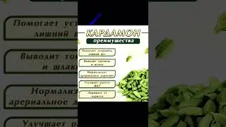 КАРДАМОН ПОЛЕЗНЫЕ СВОЙСТВА #shortvideo #советы #витамины #полезныесоветы #медицина #кардамон #здоров