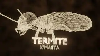 K'Masta -Termite | Trapstep