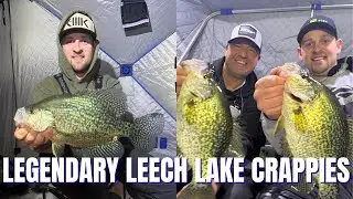 Legendary Leech Lake Crappies