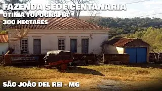 FAZENDA 300 HECTARES COM SEDE CENTENÁRIA (VENDIDO)
