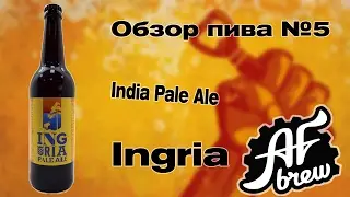 Ingria IPA