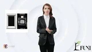 OEM FAP10 Capacitive Fingerprint sensor
