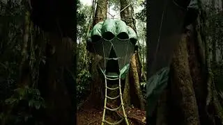 ASMR Pocket Tree Shelter