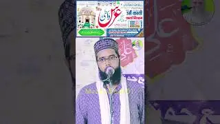 800th urse wasti bilgram sharif 9 November 2024 Mohalla Maidanpura Bilgram Sharif District Hardoi UP