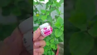 10rs Skin Care Products Challenge #shorts