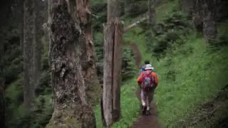 Best College Town In The Pac 12: Hiking
