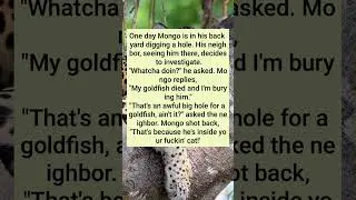 One&nbsp;day&nbsp;Mongo&nbsp;is&nbsp;in&nbsp;his&nbsp;back&nbsp;yard&nbsp;digging&nbsp;a&nbsp;hole...