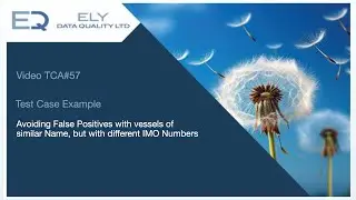 Avoiding False Positives with vessels of similar Name, but with different IMO Numbers (TCA#57)