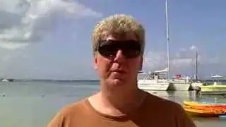 Success Mentoring with Lynn Pierce, The Success Architect