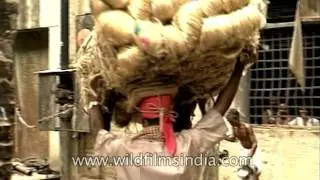 Unloading raw jute at a factory in India