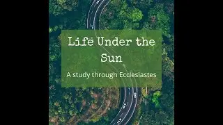 Survivor's Guide to Life Under the Sun - Ecclesiastes 10:1-20 - Wednesday Bible Study 12-1-2021