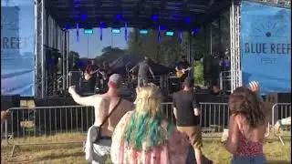 Jet Black Bees - Love and Devotion