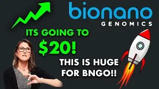 BNGO STOCK WILL EXPLODE BECAUSE OF THIS! - ARK Might Buy Soon! - (Bionano Genomics Stock Analysis)