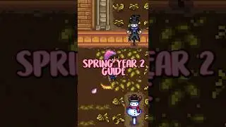 What to do in SPRING YEAR 2!