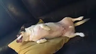 Mr.Bubz Spooking You