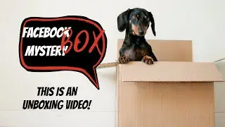 $100 dollar facebook video game mystery box!! Ep #2 #unboxing #videogames #mysterybox