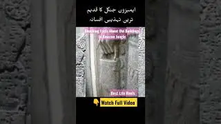 Shocking Facts About Old Buildings In Amazon Jungle. #history #highlights #new #urdu #hindi