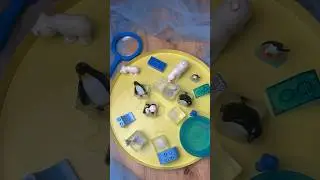 Ice block penguin sensory bin for kids🧊🐧 #sensorybin #kids #penguins #winter #ideas #craft