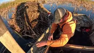Поездка на ондатру, более 200, первая проверка!