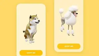 Pet adoption App Concept