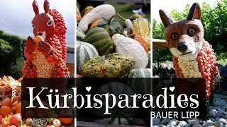 🎃 Ein Tag im Kürbisparadies Bauer Lipp | Herbst-Highlight in Hessen