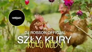 SZŁY KURY KOŁO WODY - AI REMIX ( DJ ROBSON