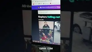 Best Website for GIFs free Download #learnertime #giphy #gifs #giphyfree