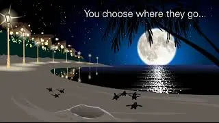 Threat of Coastal Light Pollution on Sea Turtles PSA - Sea Turtle Conservancy